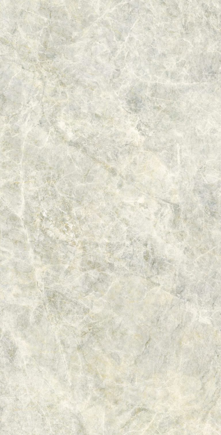 TAJ MAHAL SUPREME_60x120_F6