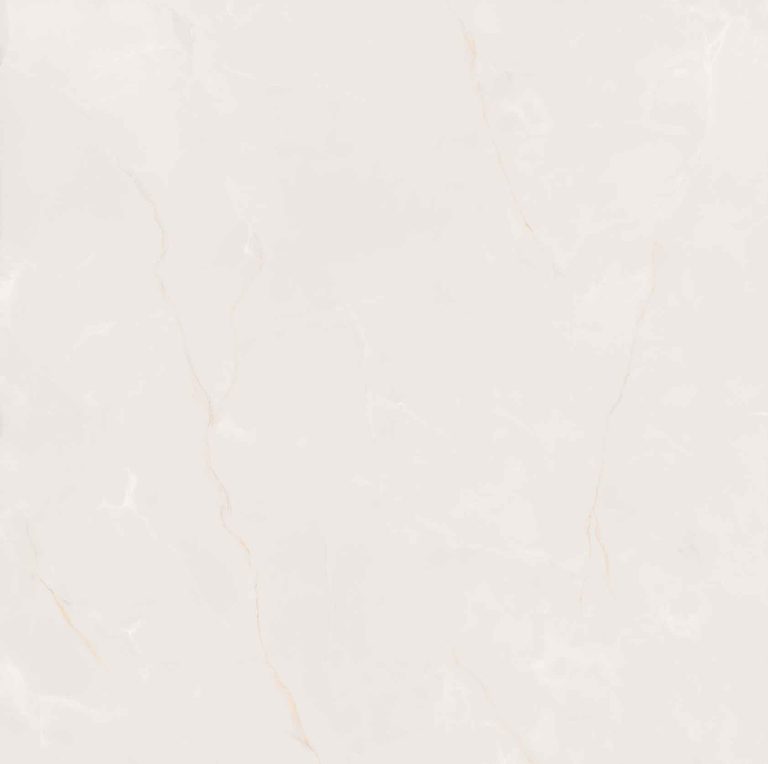 PERLATTO_POLIDO_79,4x79,4_F2